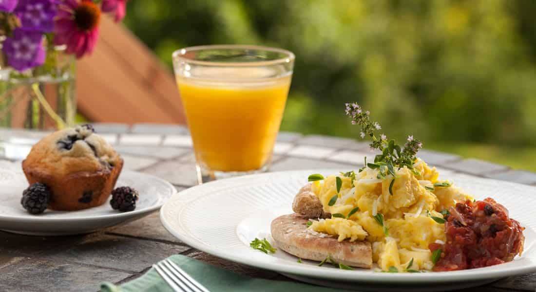 Scramble eggs, salsa, pita, blueberry Muffin and orange juice