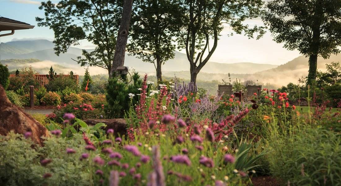 the gardens with purple and red flowers, three trees which you can look thru and see the Mountains