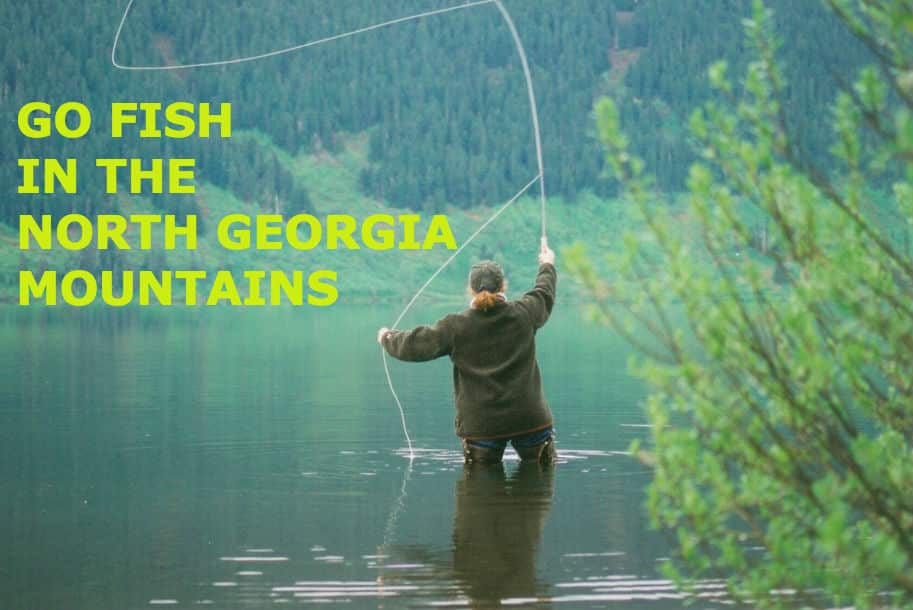 Fishing In The Northeast Mountains