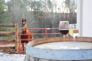 Two glasses of wine sit atop a barrel while a brown horse looks onward in the distance.