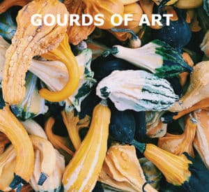 A close-up photo of mixed varieties of gourds with title, "Gourds of Art."