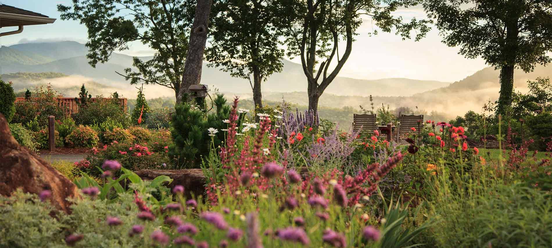 Beautiful view of the gardens with red and purple flowers. The GA Mountains are the back drop