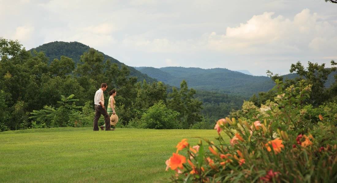 A couple walking thru the field with orange flowers in the foreground