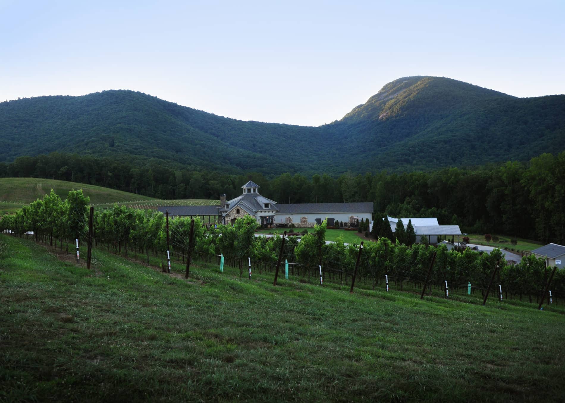 Spring Events at North Mountain Wineries